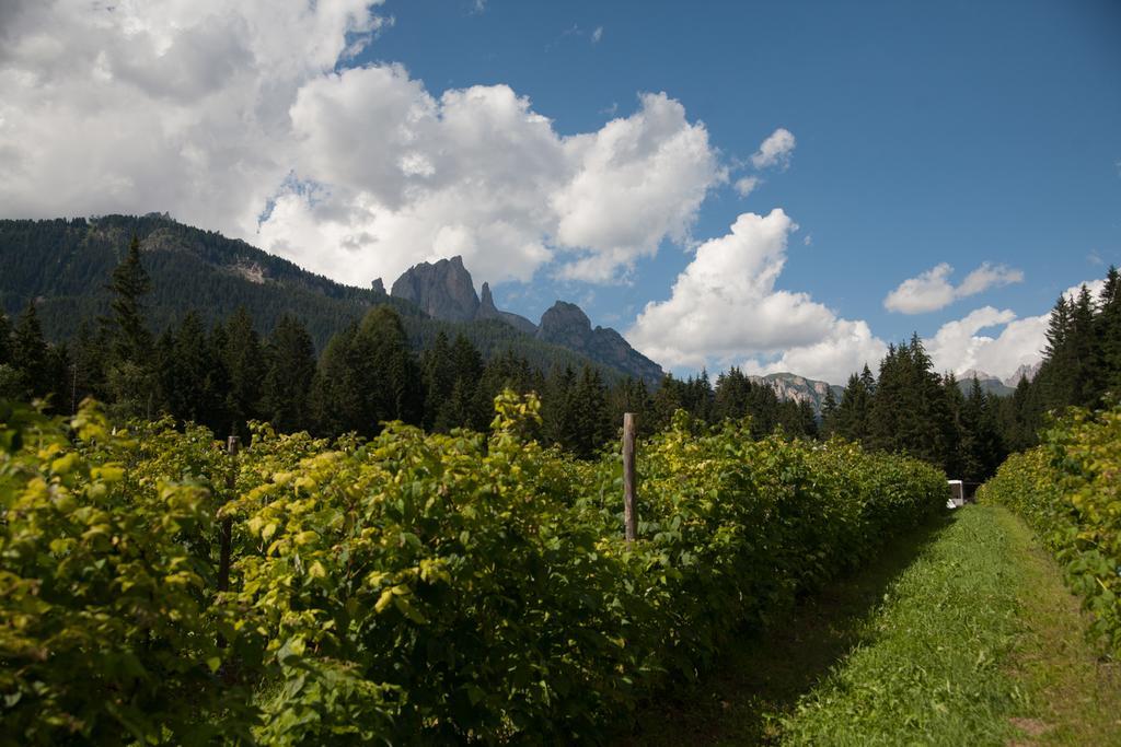 Agriturismo Soreie - Farmstay Vigo di Fassa Exterior photo